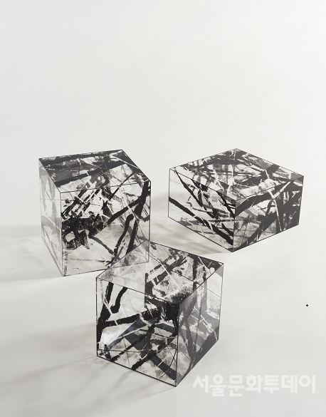▲권정아, '검은 숲 cube & cuboid' (사진=노원문화재단 제공)