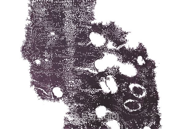▲Anne Paulus,  Higashimyo II , Woodcut , 90 x 60 cm, 2020